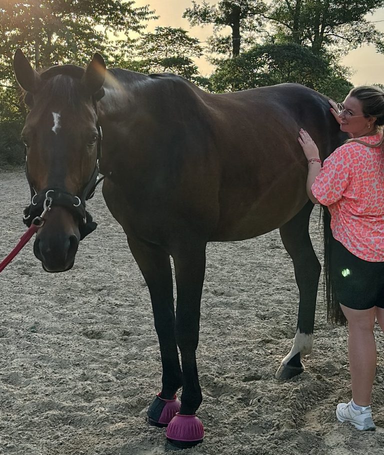 Pia Marlen behandelt ein Pferd mit Reiki, vor Ort in Melle und Umgebung, Fernreiki für Tiere, Energiearbeit für Pferde, Hunde, Katzen