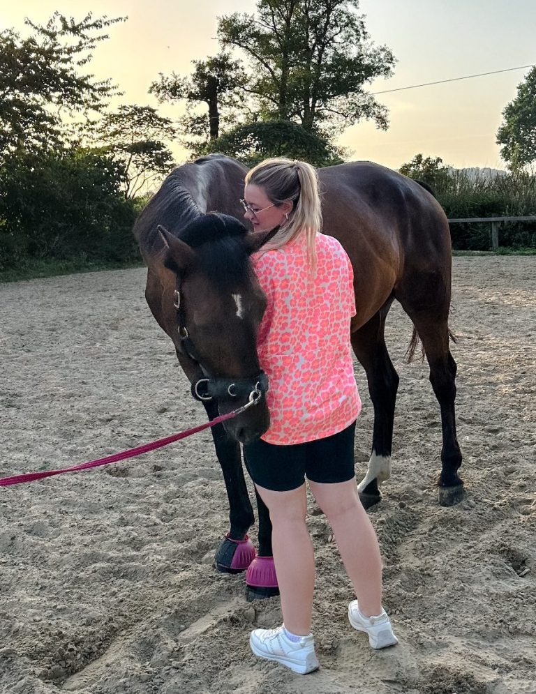 Reiki für Tiere, Pia Marlen behandelt ein Pferd mit Reiki in Melle und Umgebung