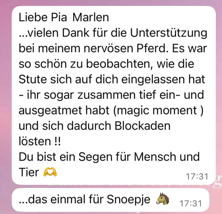 Reiki für Tiere - Entspannung für das Pferd und die Besitzerin, Blockaden sanft lösen - Heilung dank Tierreiki, Pia Marlen Ungruh