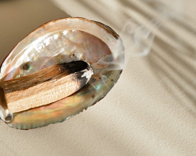 Palo Santo Räucherholz in Muschelschale
